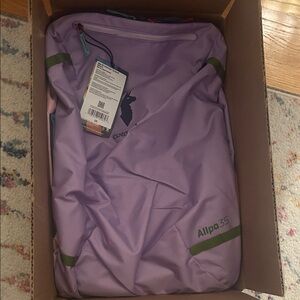 Cotopaxi Allpa 35L Backpack in Lavender and Olive